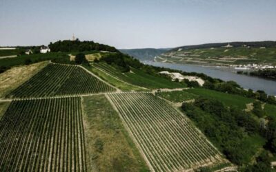 Entdecken Sie die berühmtesten Weinregionen der Welt
